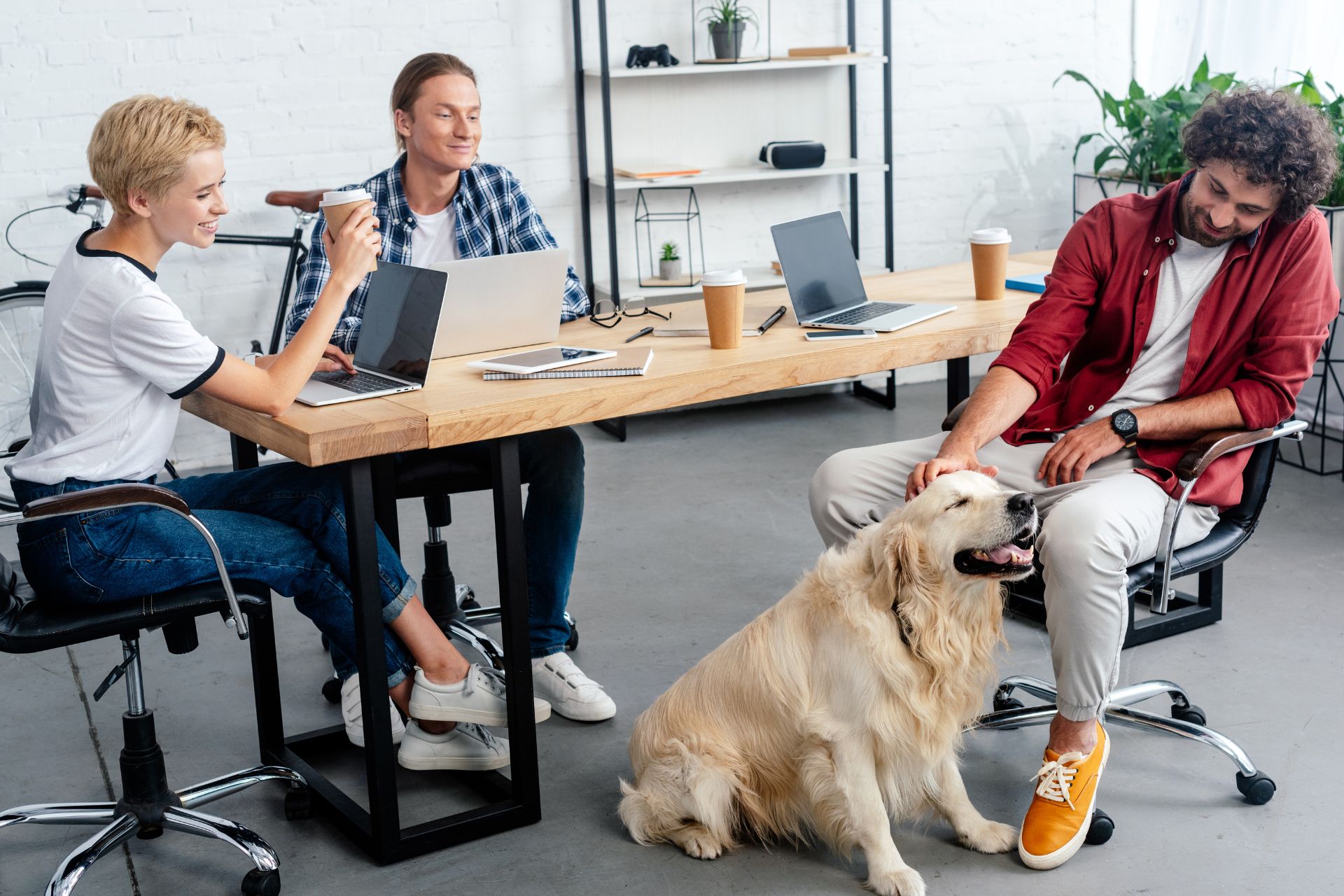 Dogs in the office can reduce stress