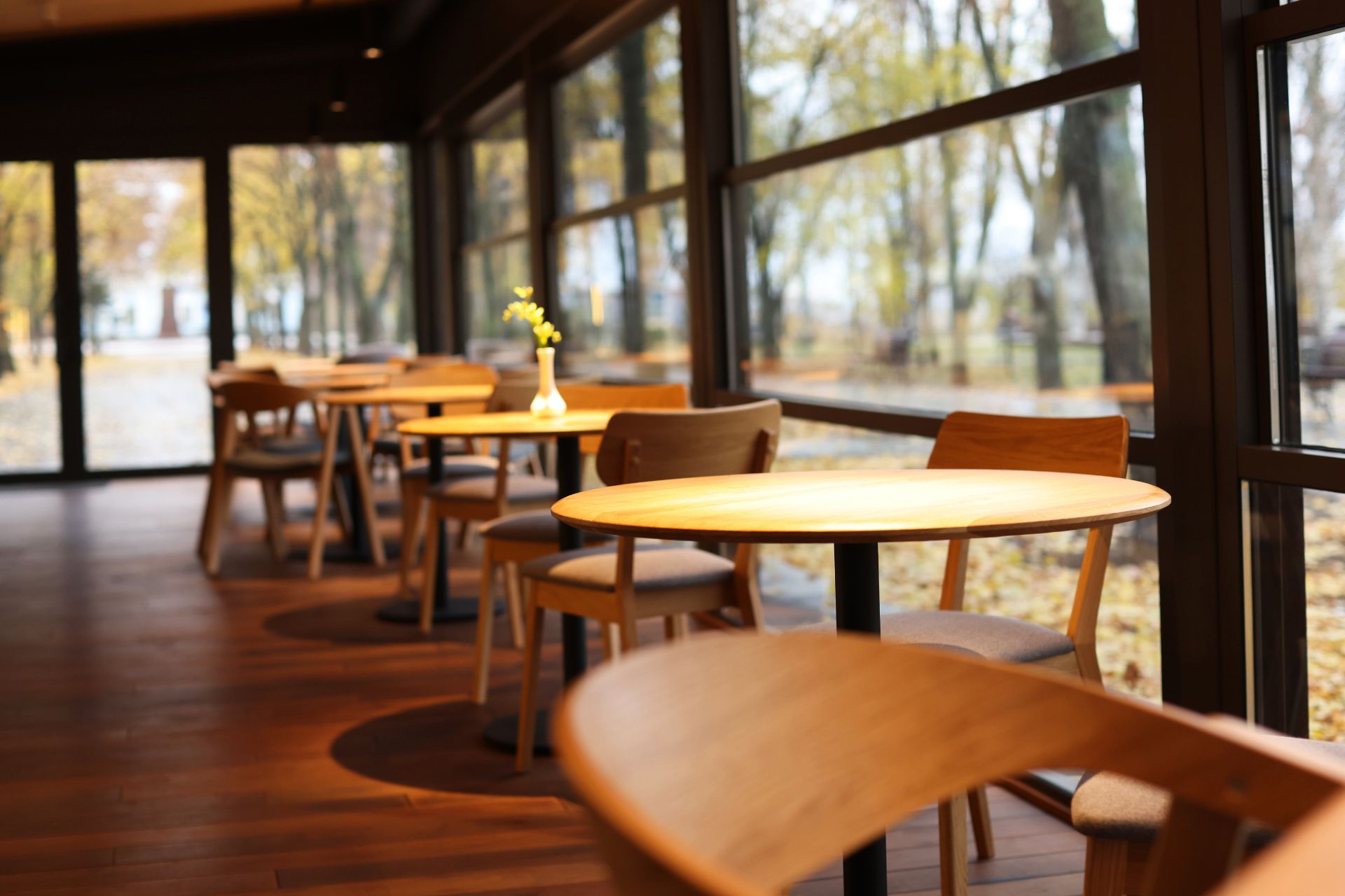 Chairs and tables inside a stylish café