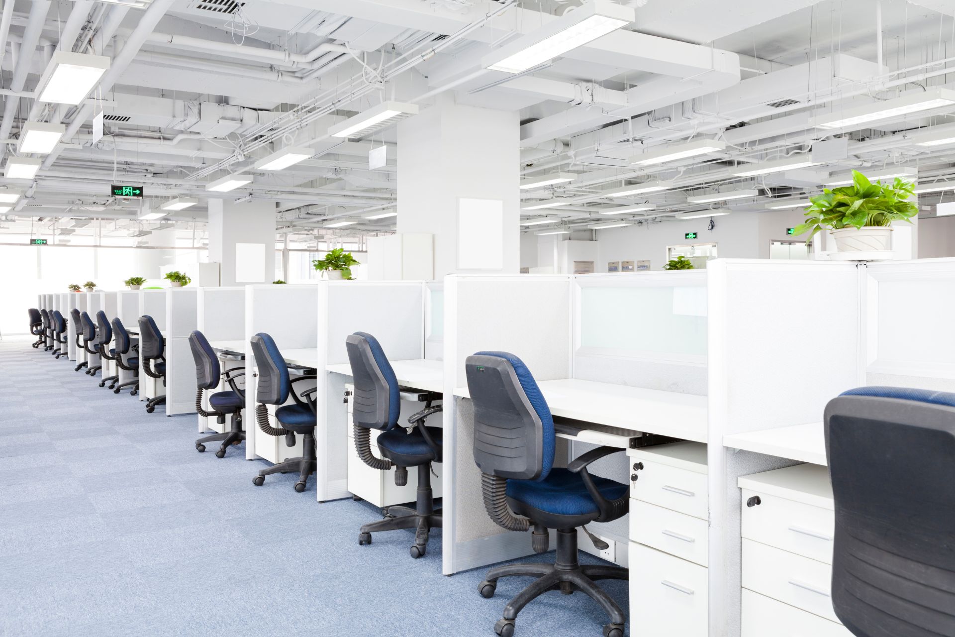 How Do I Future-Proof My Office If We Plan to Double Headcount