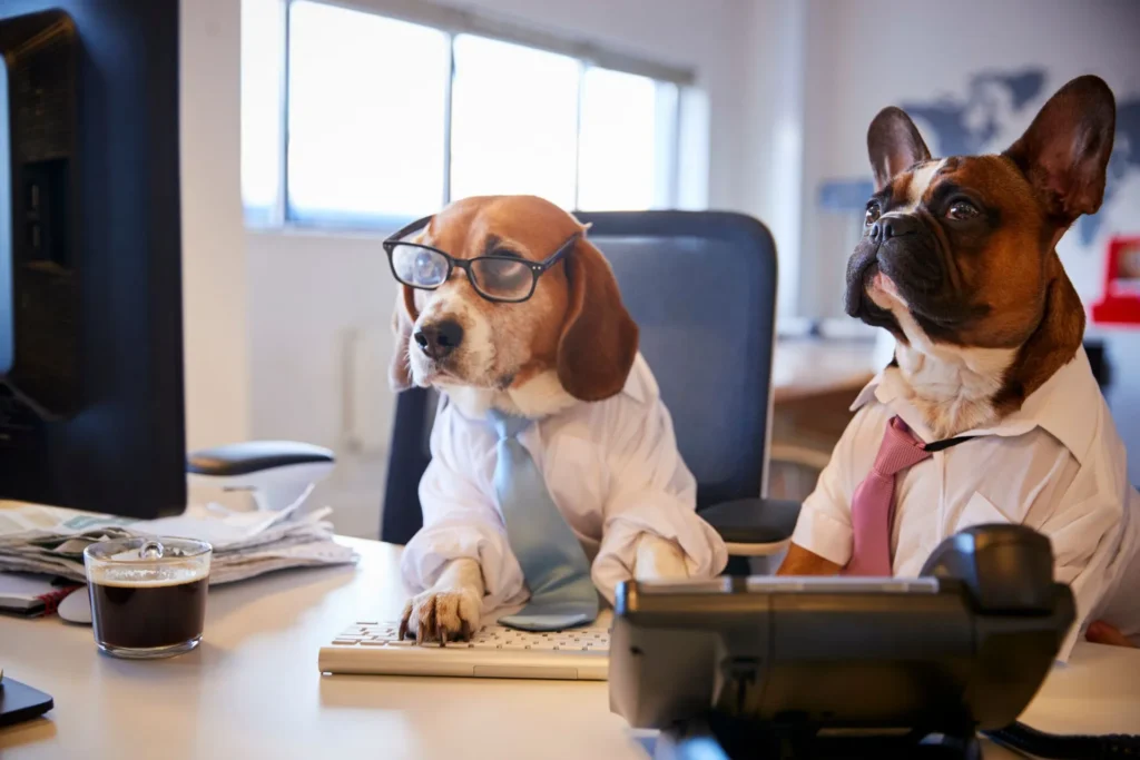 Policies for dogs in the office