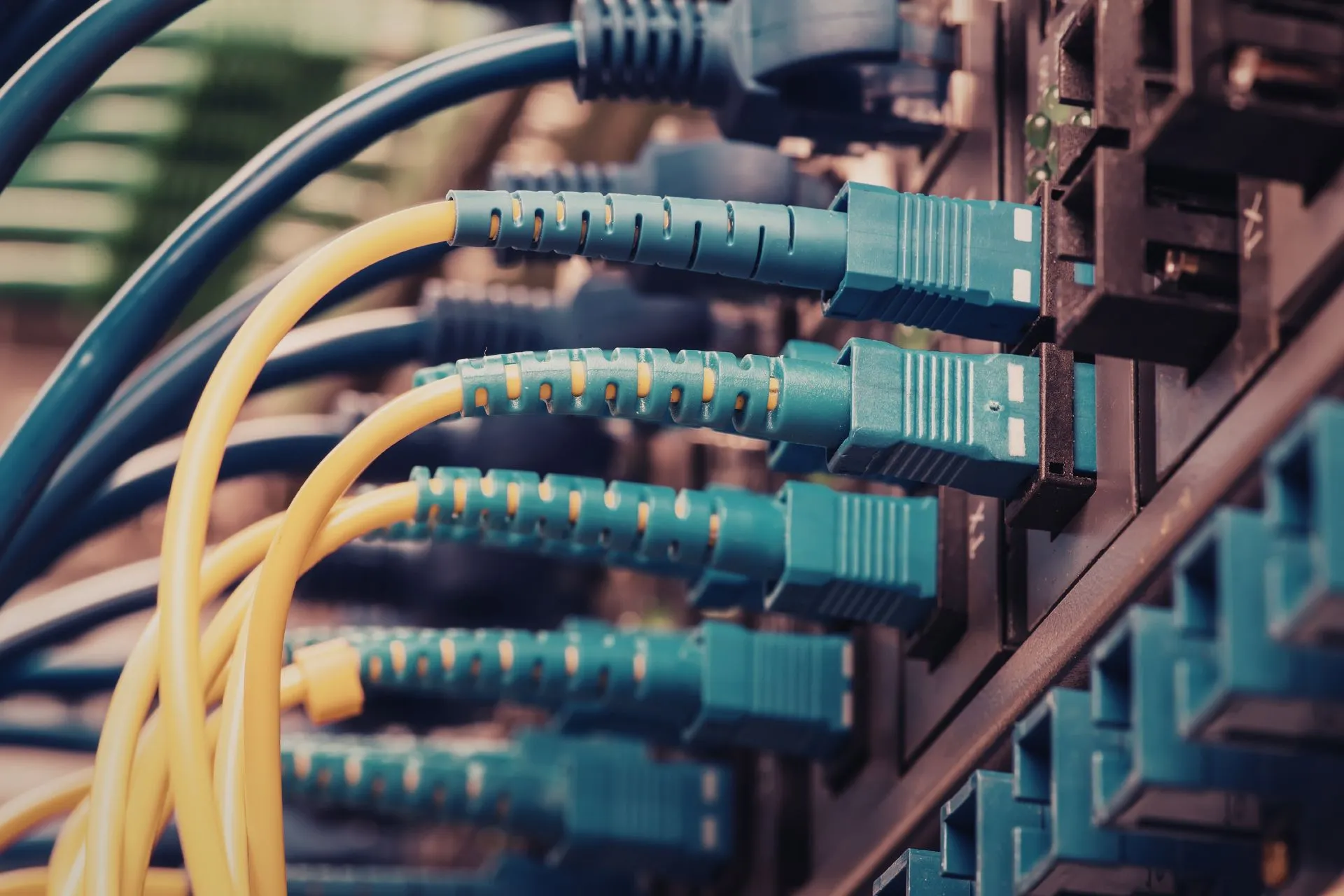 Set Up Your Network and Equipment