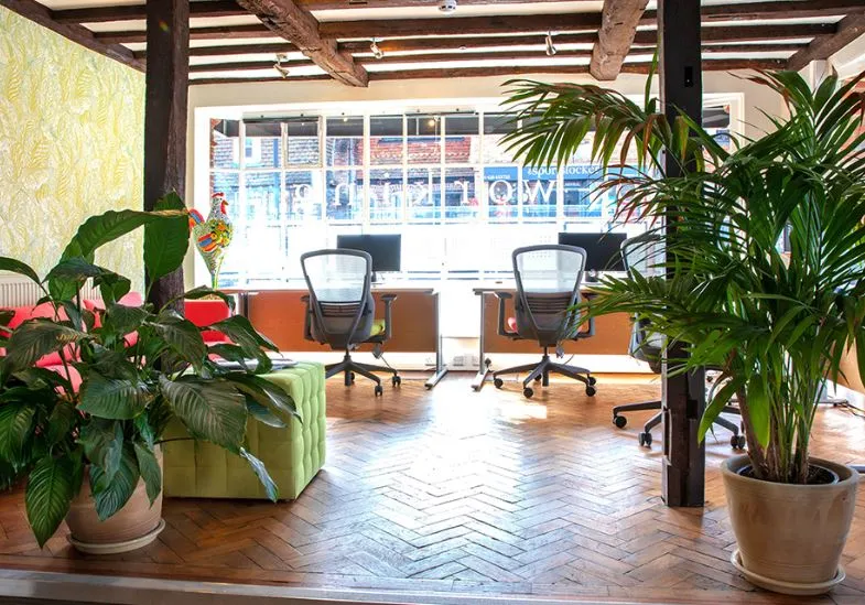Office with exposed beams, plants and desks beside a large window