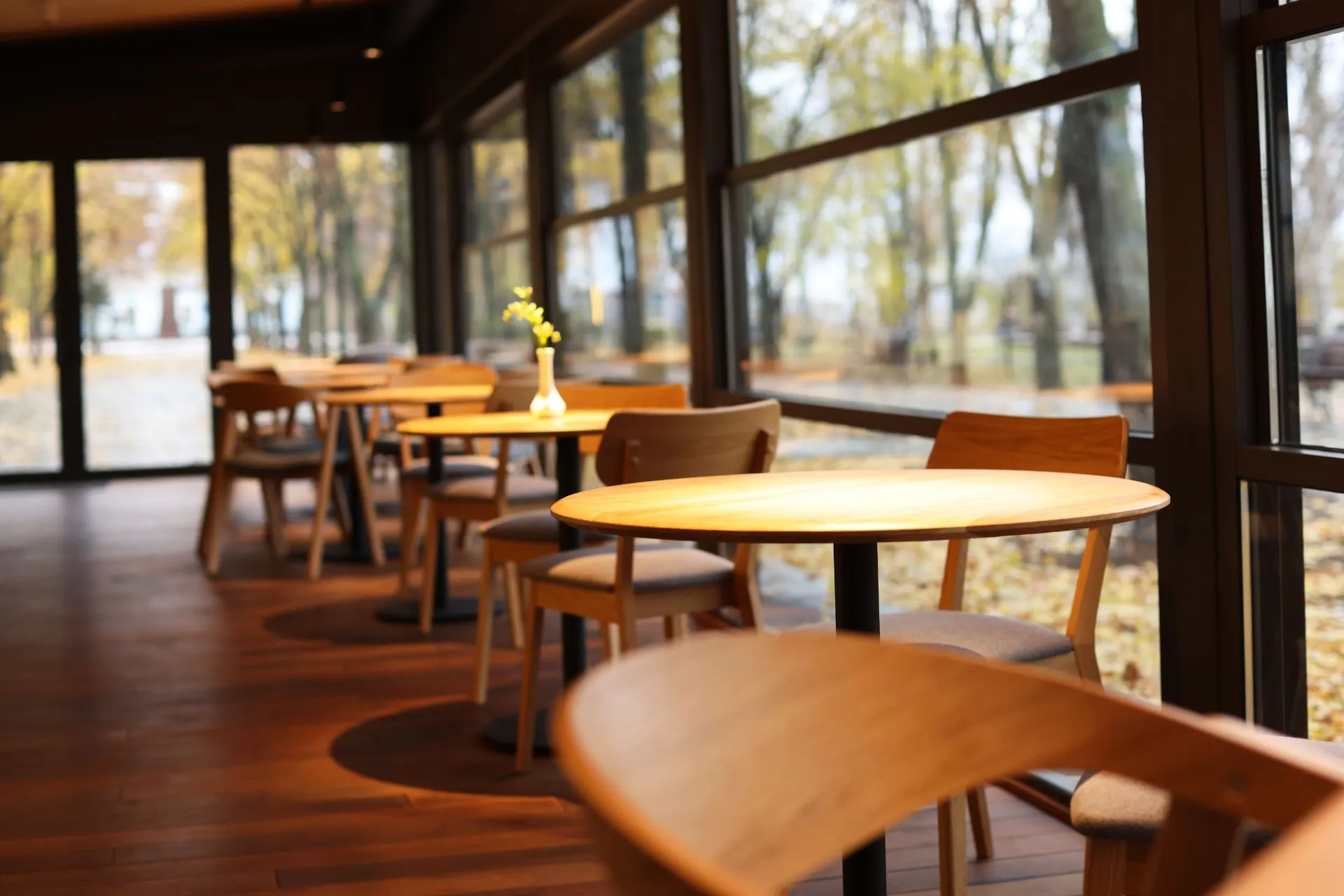 Chairs and tables inside a stylish café