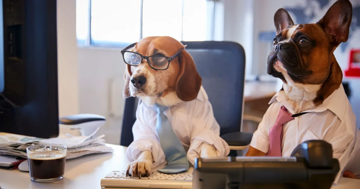 Policies for dogs in the office
