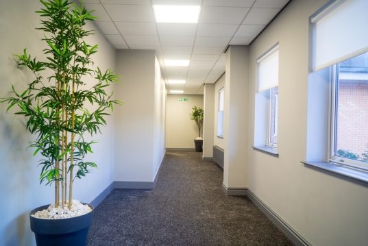 grovehouse-4
